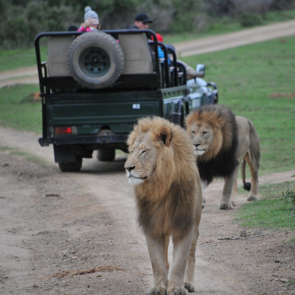 Aktive Entdeckungstour entlang der Garden Route